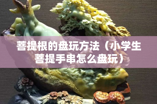 菩提根的盤玩方法（小學(xué)生菩提手串怎么盤玩）