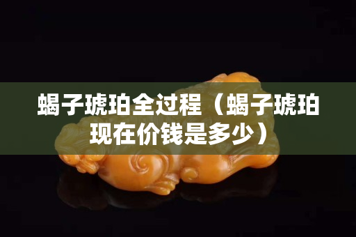 蝎子琥珀全過程（蝎子琥珀現在價錢是多少）