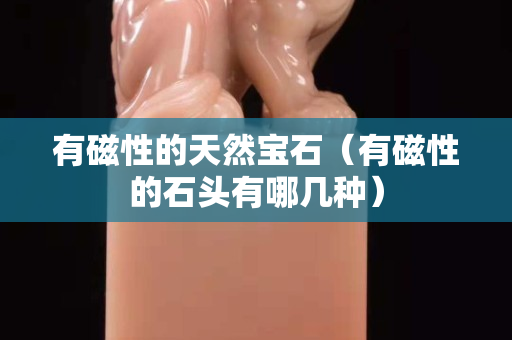 有磁性的天然寶石（有磁性的石頭有哪幾種）