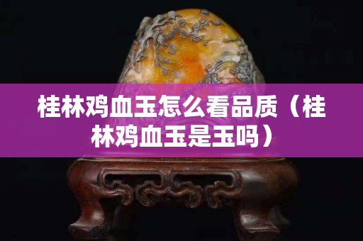 桂林雞血玉怎么看品質（桂林雞血玉是玉嗎）