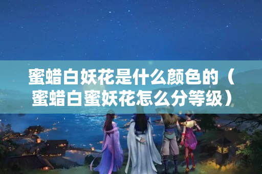 蜜蠟白妖花是什么顏色的（蜜蠟白蜜妖花怎么分等級）