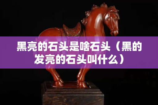 黑亮的石頭是啥石頭（黑的發亮的石頭叫什么）