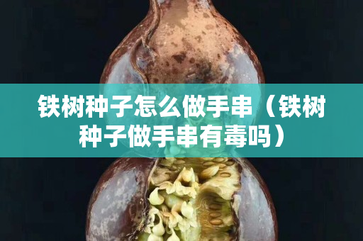 鐵樹種子怎么做手串（鐵樹種子做手串有毒嗎）