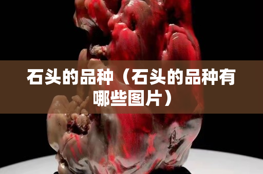 石頭的品種（石頭的品種有哪些圖片）