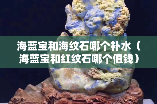 海藍寶和海紋石哪個補水（海藍寶和紅紋石哪個值錢）