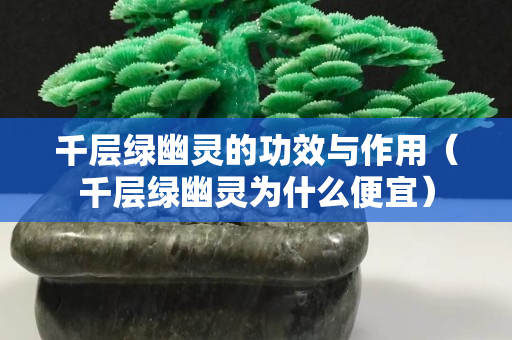 千層綠幽靈的功效與作用（千層綠幽靈為什么便宜）
