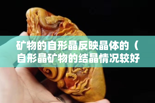 礦物的自形晶反映晶體的（自形晶礦物的結(jié)晶情況較好）
