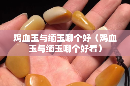 雞血玉與緬玉哪個(gè)好（雞血玉與緬玉哪個(gè)好看）