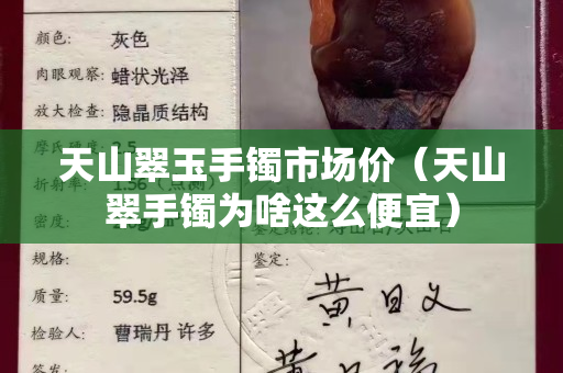 天山翠玉手鐲市場價（天山翠手鐲為啥這么便宜）