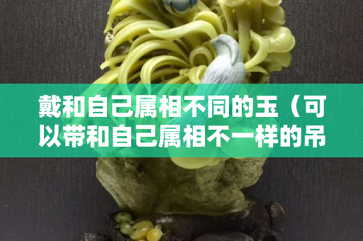 戴和自己屬相不同的玉（可以帶和自己屬相不一樣的吊墜那）