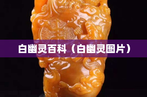 白幽靈百科（白幽靈圖片）