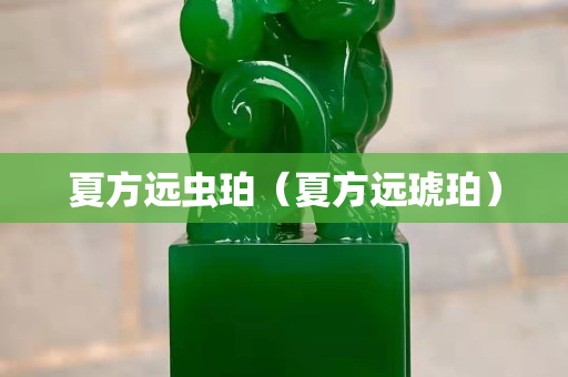 夏方遠蟲珀（夏方遠琥珀）