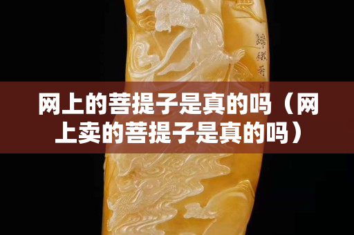 網上的菩提子是真的嗎（網上賣的菩提子是真的嗎）