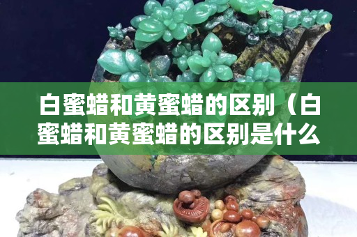 白蜜蠟和黃蜜蠟的區別（白蜜蠟和黃蜜蠟的區別是什么）