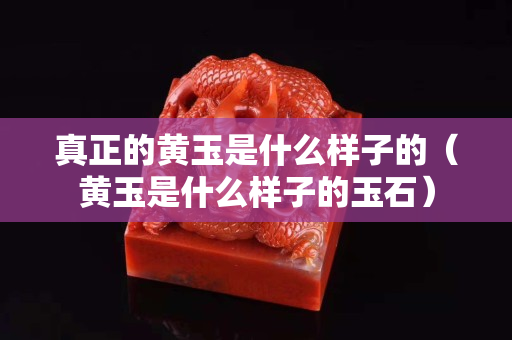 真正的黃玉是什么樣子的（黃玉是什么樣子的玉石）