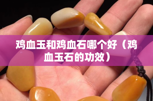 雞血玉和雞血石哪個好（雞血玉石的功效）