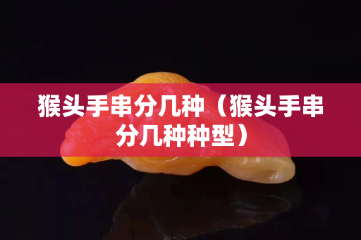 猴頭手串分幾種（猴頭手串分幾種種型）