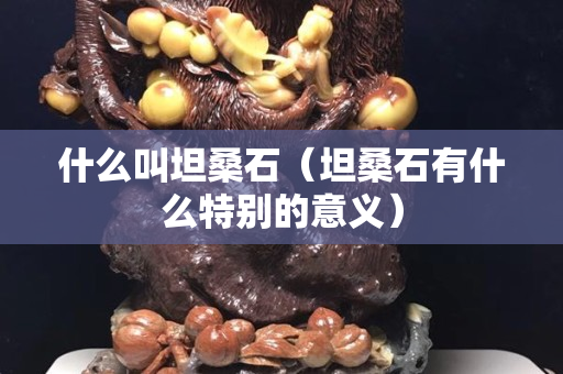 什么叫坦桑石（坦桑石有什么特別的意義）