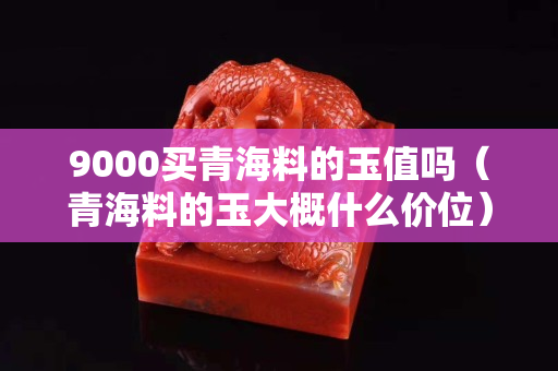 9000買青海料的玉值嗎（青海料的玉大概什么價位）