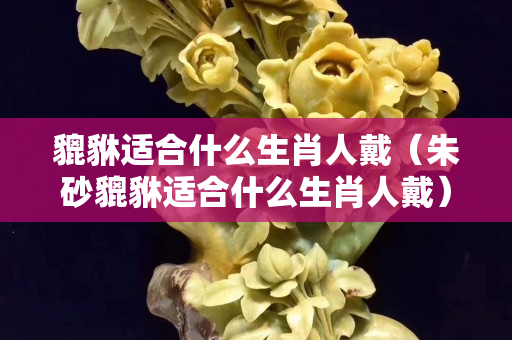 貔貅適合什么生肖人戴（朱砂貔貅適合什么生肖人戴）