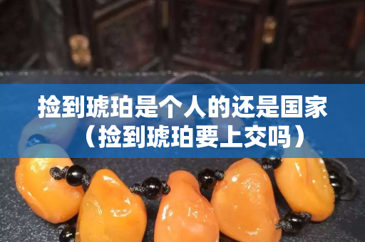 撿到琥珀是個(gè)人的還是國家（撿到琥珀要上交嗎）