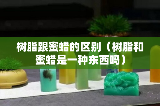 樹脂跟蜜蠟的區別（樹脂和蜜蠟是一種東西嗎）