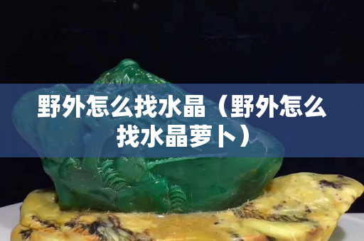 野外怎么找水晶（野外怎么找水晶蘿卜）