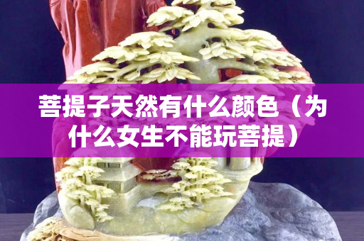 菩提子天然有什么顏色（為什么女生不能玩菩提）