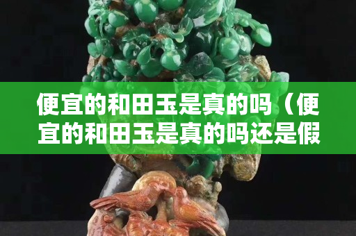 便宜的和田玉是真的嗎（便宜的和田玉是真的嗎還是假的）