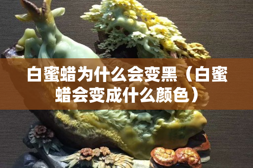 白蜜蠟為什么會變黑（白蜜蠟會變成什么顏色）