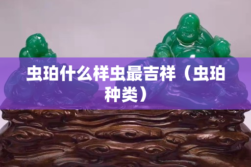 蟲珀什么樣蟲最吉祥（蟲珀種類）