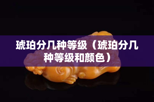 琥珀分幾種等級（琥珀分幾種等級和顏色）