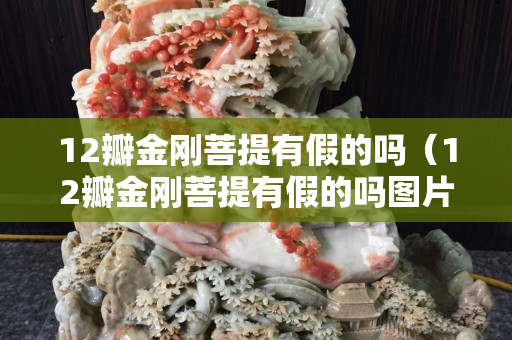 12瓣金剛菩提有假的嗎（12瓣金剛菩提有假的嗎圖片）