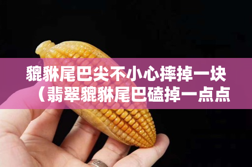 貔貅尾巴尖不小心摔掉一塊（翡翠貔貅尾巴磕掉一點點）