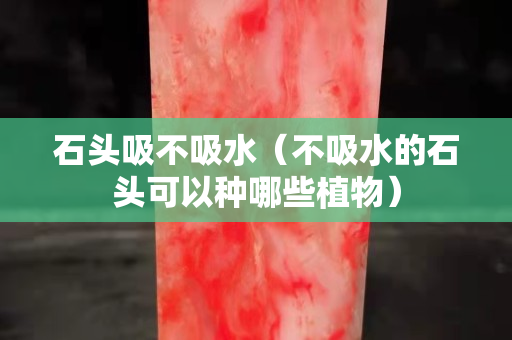 石頭吸不吸水（不吸水的石頭可以種哪些植物）