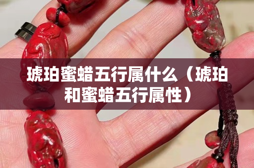 琥珀蜜蠟五行屬什么（琥珀和蜜蠟五行屬性）