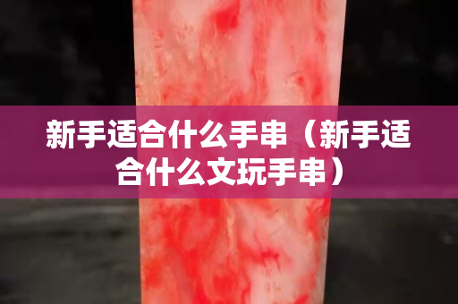 新手適合什么手串（新手適合什么文玩手串）