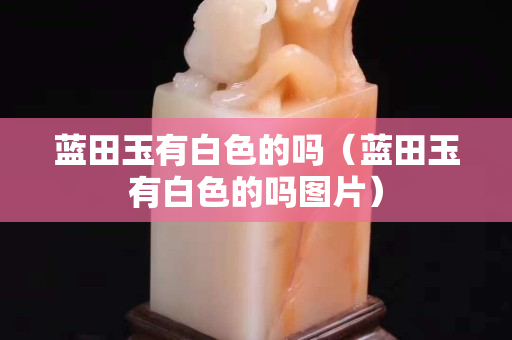 藍田玉有白色的嗎（藍田玉有白色的嗎圖片）