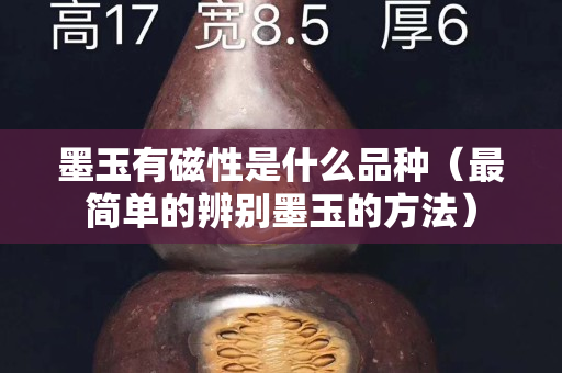 墨玉有磁性是什么品種（最簡單的辨別墨玉的方法）