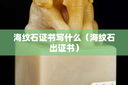 海紋石證書寫什么（海紋石出證書）