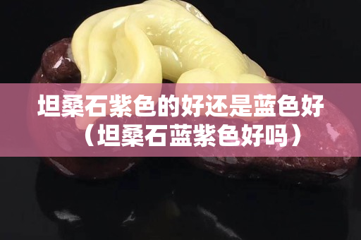 坦桑石紫色的好還是藍色好（坦桑石藍紫色好嗎）
