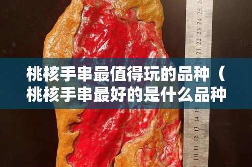 桃核手串最值得玩的品種（桃核手串最好的是什么品種）