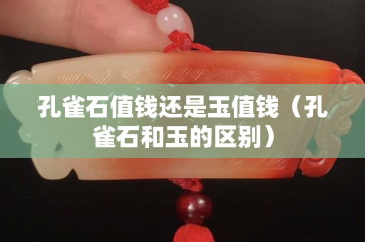 孔雀石值錢還是玉值錢（孔雀石和玉的區(qū)別）