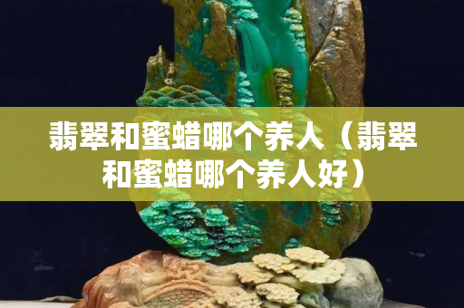 翡翠和蜜蠟哪個養人（翡翠和蜜蠟哪個養人好）