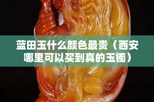 藍田玉什么顏色最貴（西安哪里可以買到真的玉鐲）