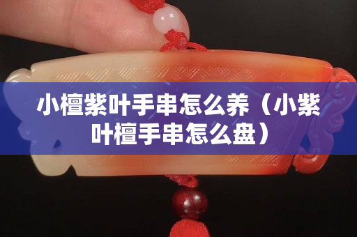 小檀紫葉手串怎么養(yǎng)（小紫葉檀手串怎么盤）