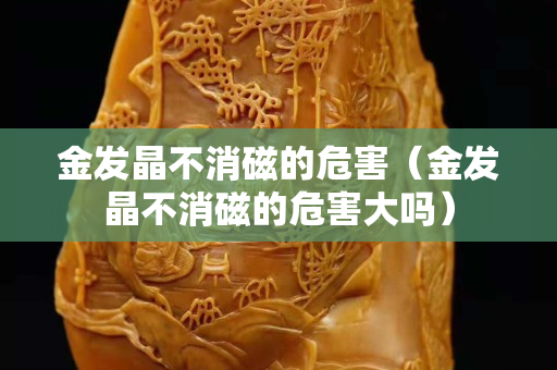 金發晶不消磁的危害（金發晶不消磁的危害大嗎）