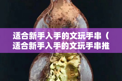 適合新手入手的文玩手串（適合新手入手的文玩手串推薦）