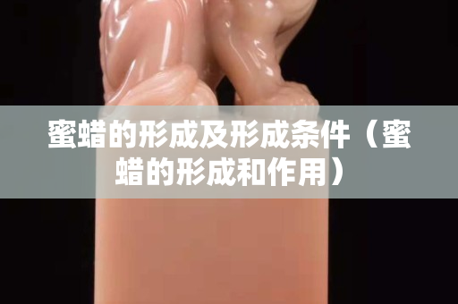 蜜蠟的形成及形成條件（蜜蠟的形成和作用）