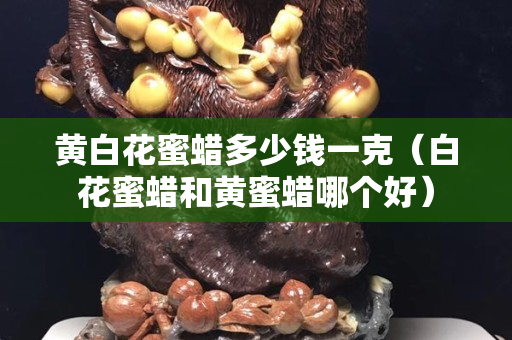黃白花蜜蠟多少錢一克（白花蜜蠟和黃蜜蠟哪個好）